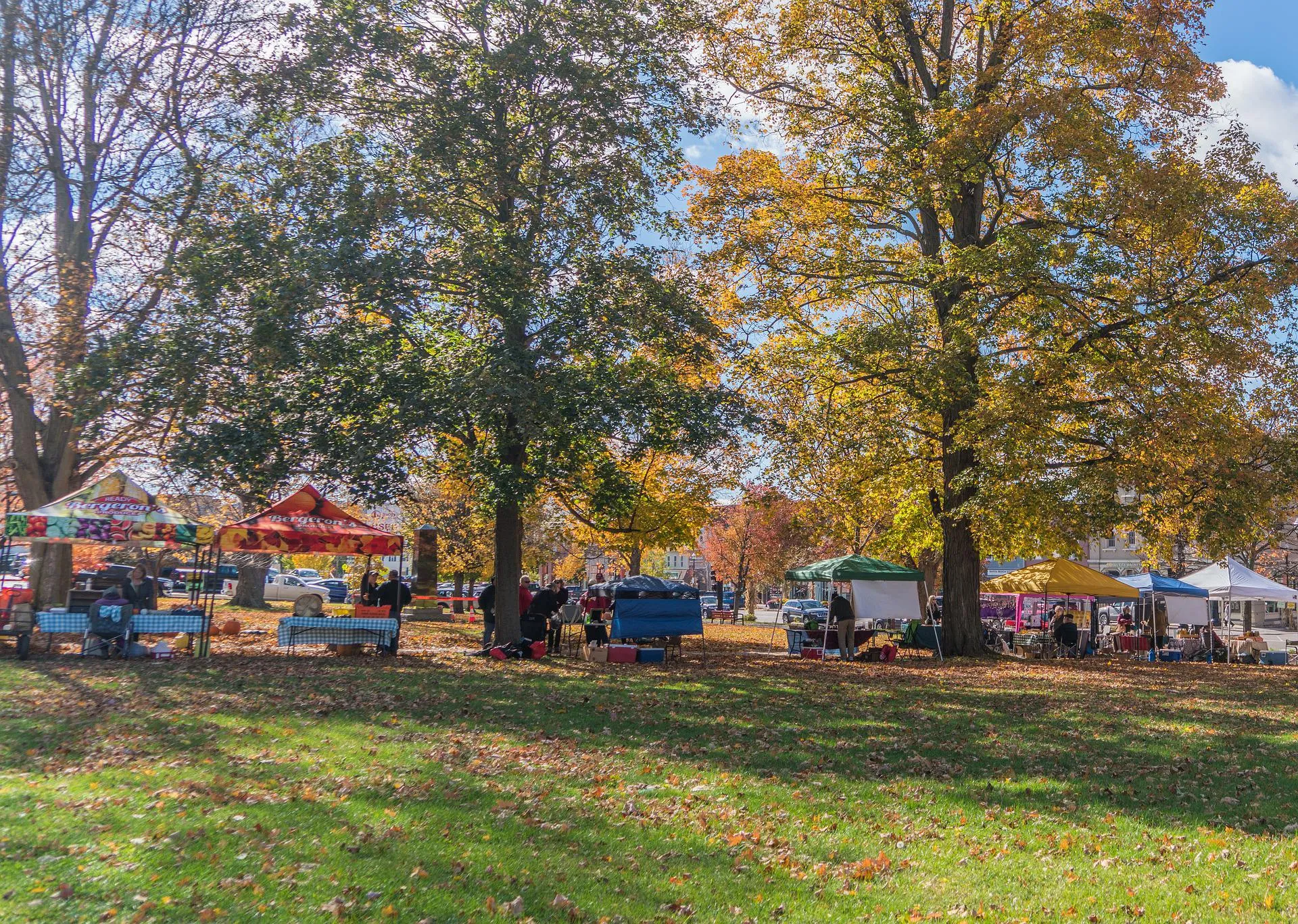 Colorful pop-up canopy tents with tables and people beneath autumn trees on a grass lawn covered in fallen leaves