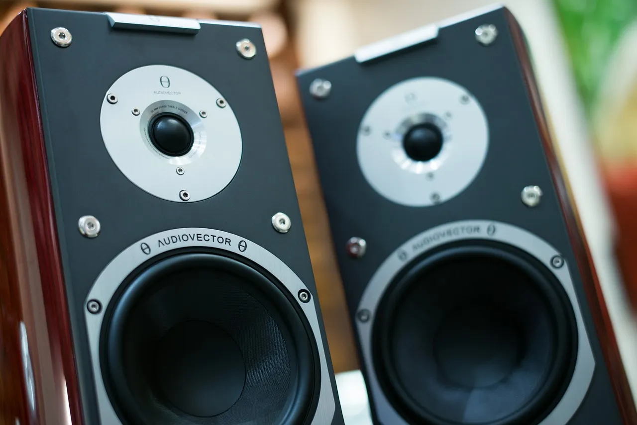 Pair of speakers with black fronts, silver rings around the woofers and tweeters, and glossy dark red wood sides
