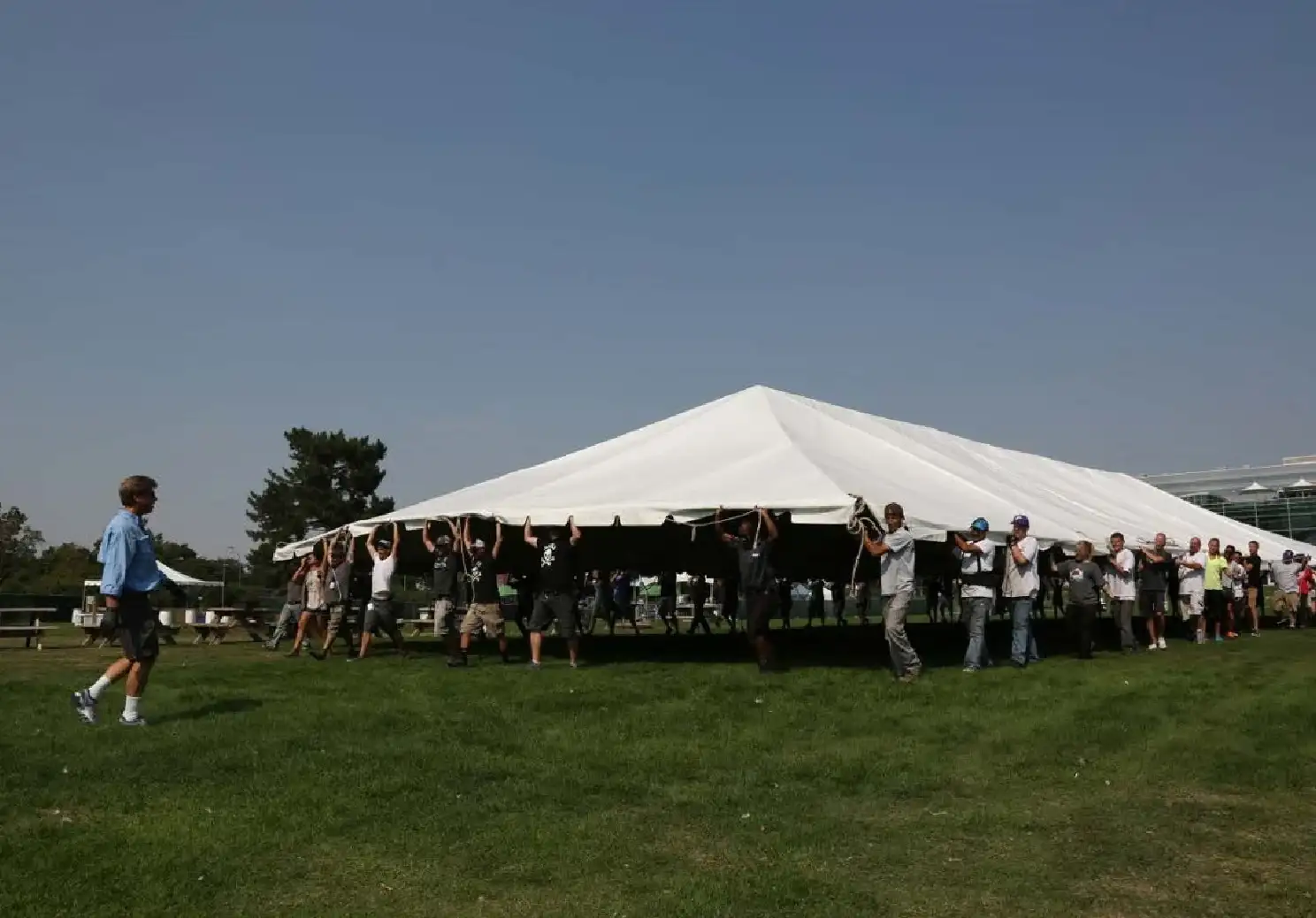 Crew of workers lifting a large white tent top by hand on a grass field under a clear blue sky