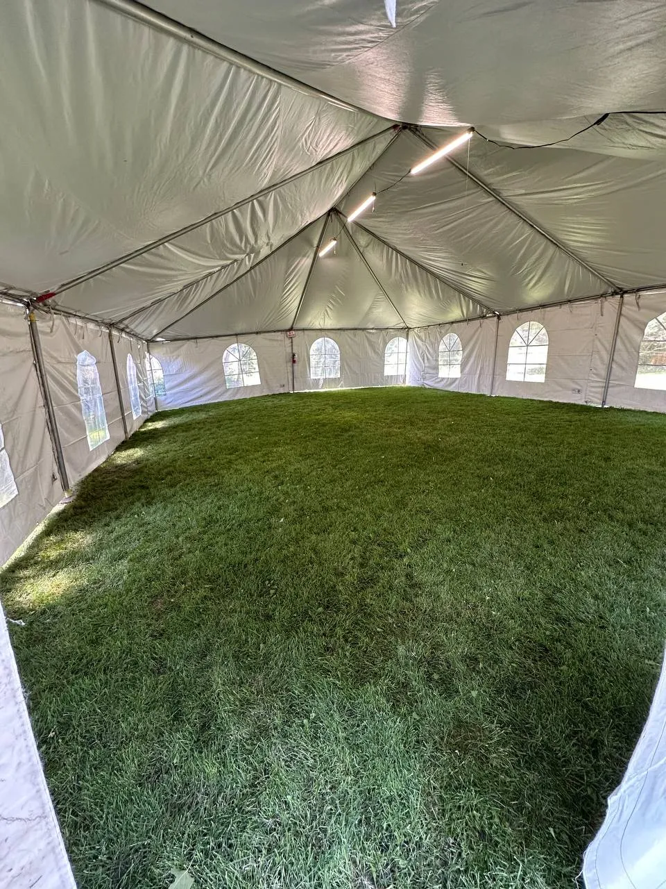 Inside a white frame tent with arched window sidewalls over a grass floor